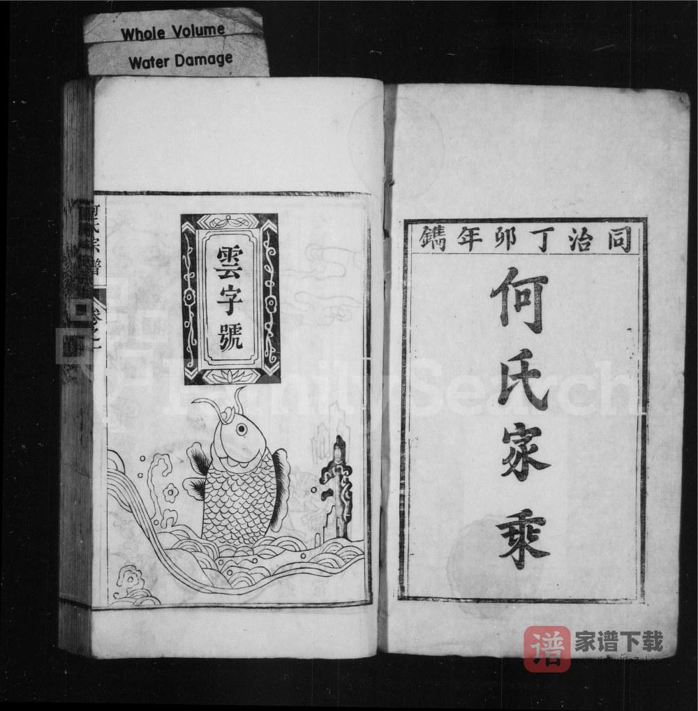 图片[2]-安徽芜湖南陵县凤洲何氏宗谱PDF高清电子版下载-家谱下载
