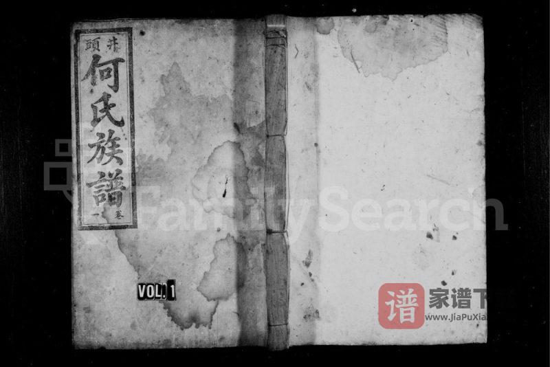 湖南资兴井头何氏族谱PDF高清电子版下载-家谱下载