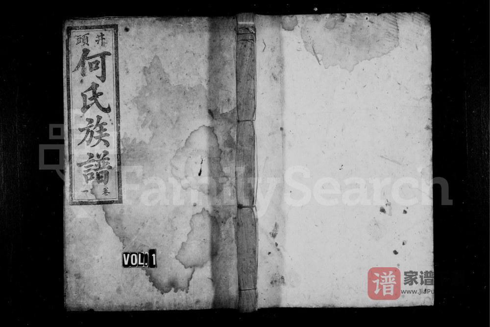 图片[1]-湖南资兴井头何氏族谱PDF高清电子版下载-家谱下载
