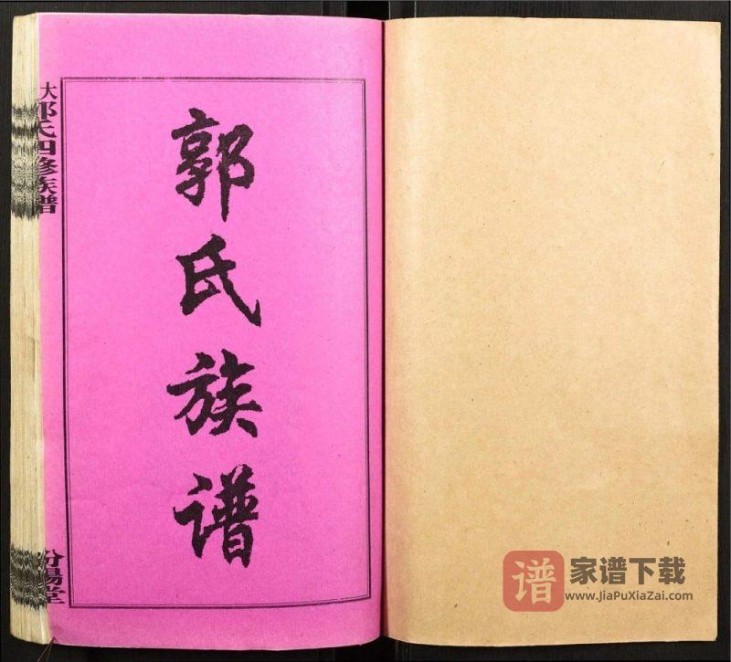 湖南娄底双峰县大湄郭氏族谱（汾阳堂）PDF高清电子版下载-家谱下载