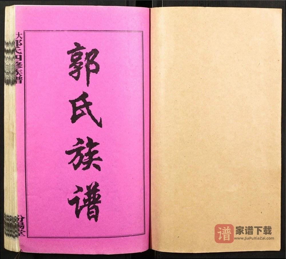 图片[1]-湖南娄底双峰县大湄郭氏族谱（汾阳堂）PDF高清电子版下载-家谱下载