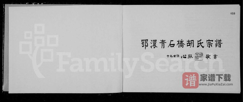 湖北孝感鄂澴青石桥胡氏宗谱（崇爱堂）PDF高清电子版下载