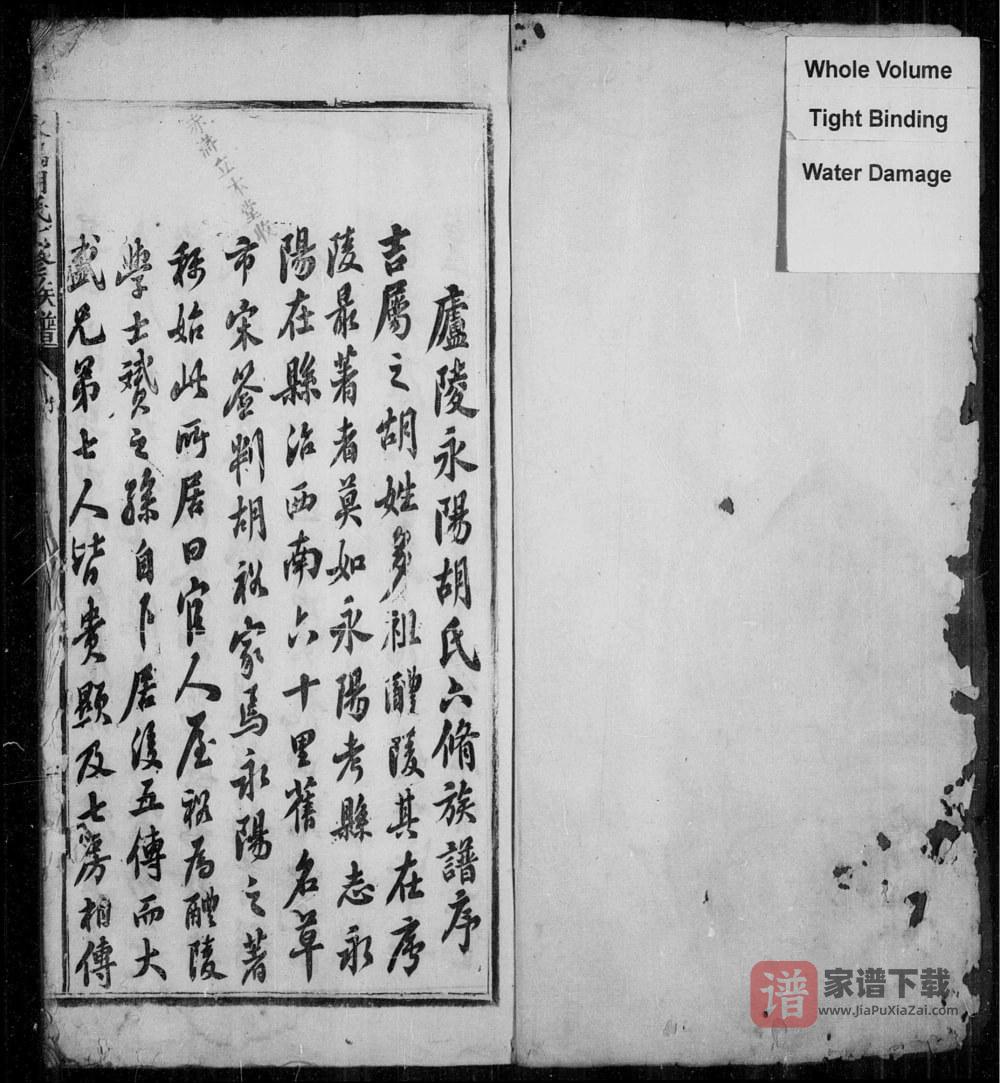 图片[2]-江西吉安永阳胡氏七修族谱PDF高清电子版下载-家谱下载