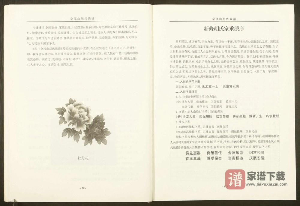 图片[2]-四川巴中平昌县金凤山胡氏族谱（安定堂）PDF高清电子版下载-家谱下载