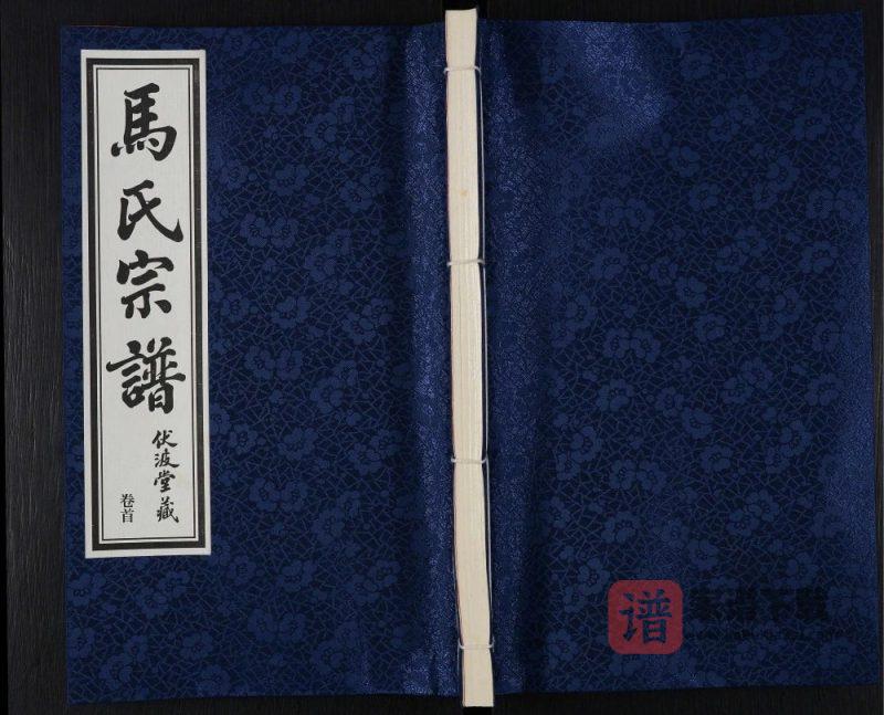 江苏江阴马氏宗谱（伏波堂）PDF高清电子版下载-家谱下载