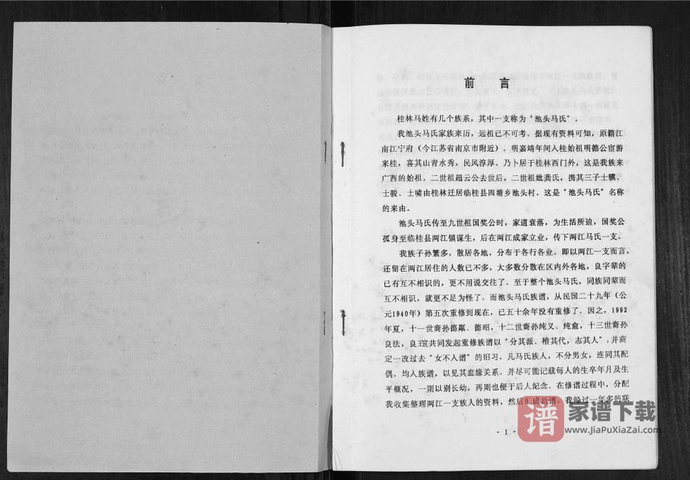 图片[2]-广西桂林池头马氏两江分支族谱PDF高清电子版下载-家谱下载