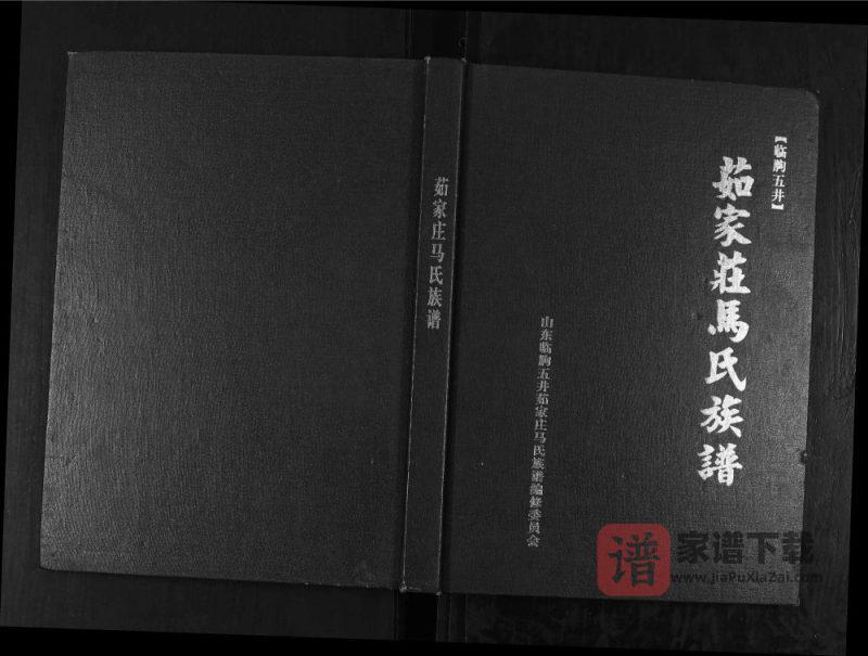 山东潍坊临朐五井茹家庄马氏族谱PDF高清电子版下载-家谱下载
