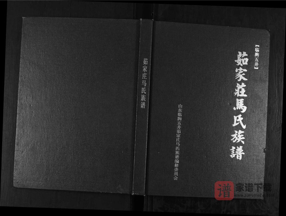 山东潍坊临朐五井茹家庄马氏族谱PDF高清电子版下载