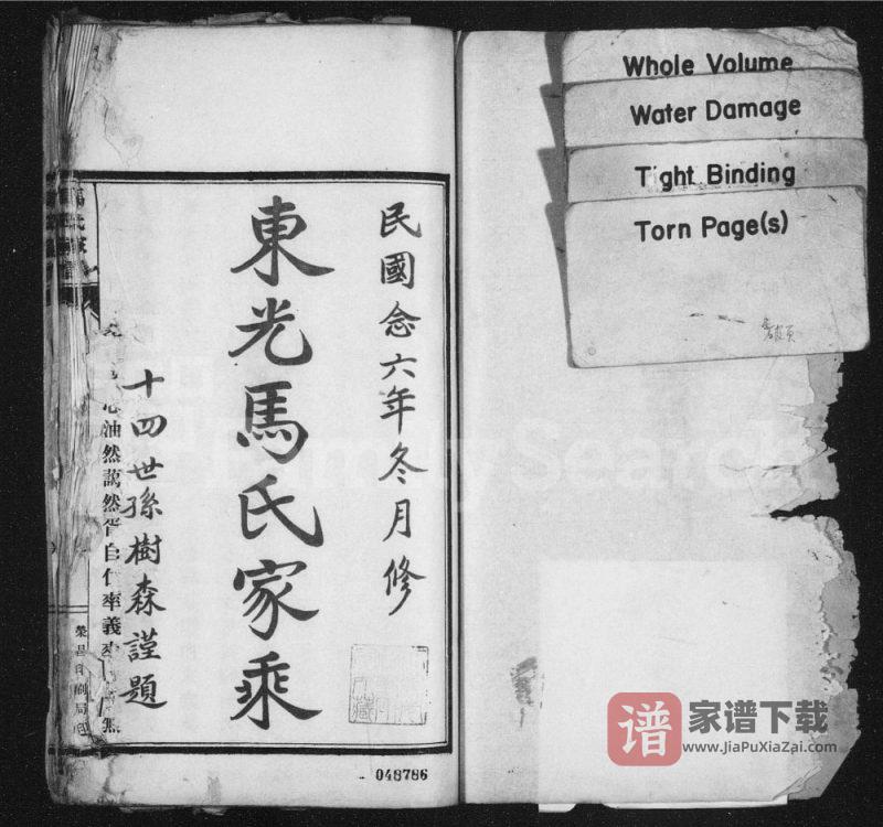 河北沧州东光大马庄马氏家乘PDF高清电子版下载-家谱下载