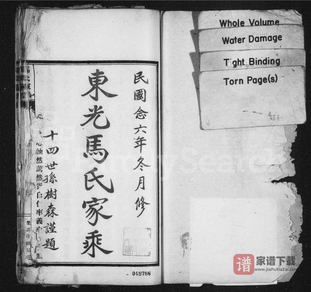 河北沧州东光大马庄马氏家乘PDF高清电子版下载
