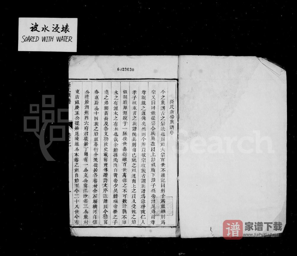 图片[2]-江苏镇江孙氏族谱PDF高清电子版下载-家谱下载