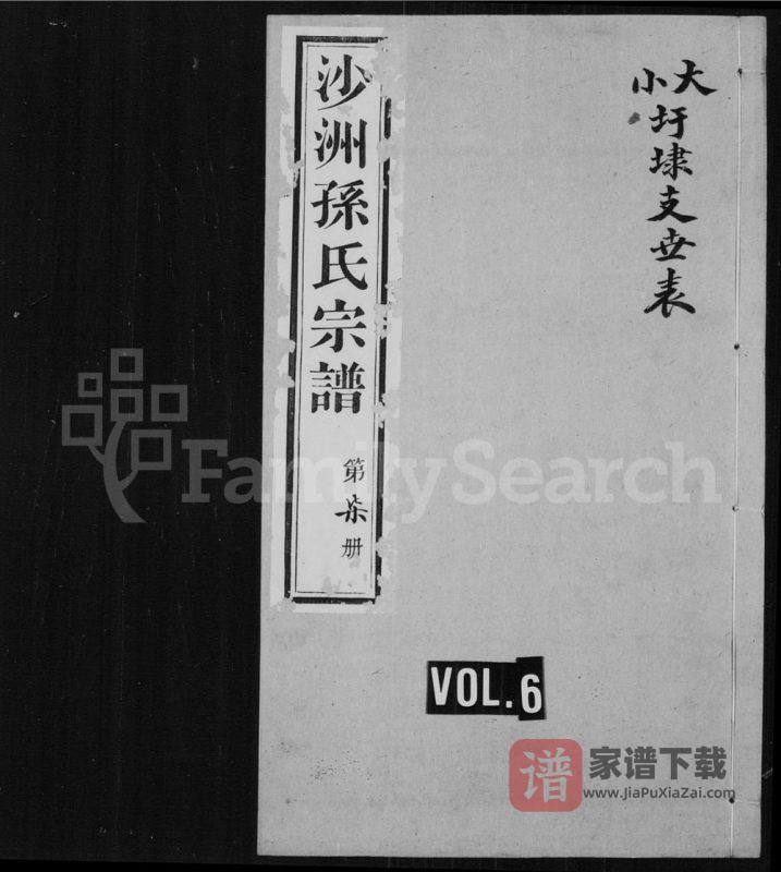 江苏江阴沙洲孙氏宗谱(积善堂)PDF高清电子版下载-家谱下载