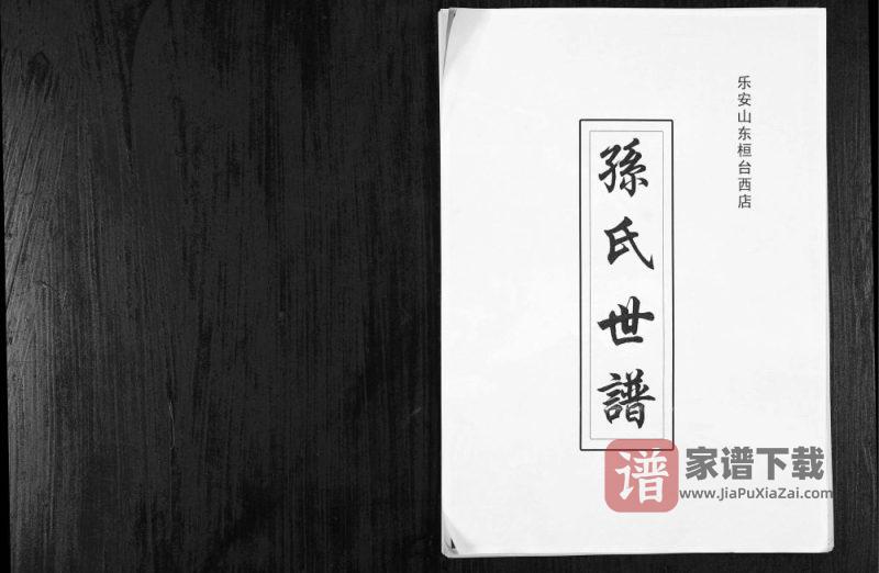 乐安山东桓台西店孙氏世谱PDF高清电子版下载-家谱下载