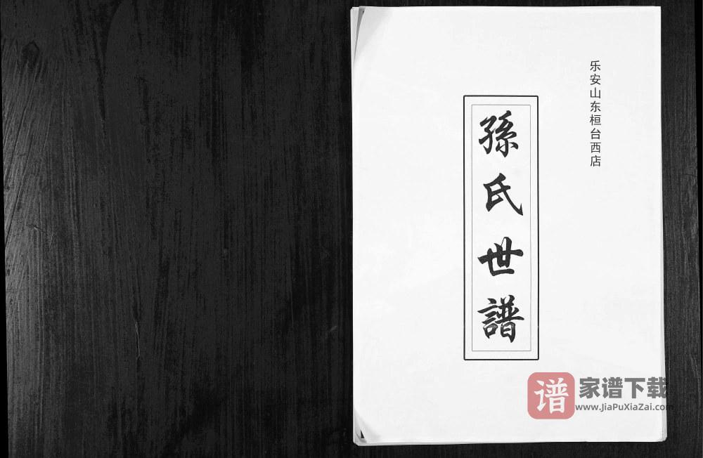 乐安山东桓台西店孙氏世谱PDF高清电子版下载