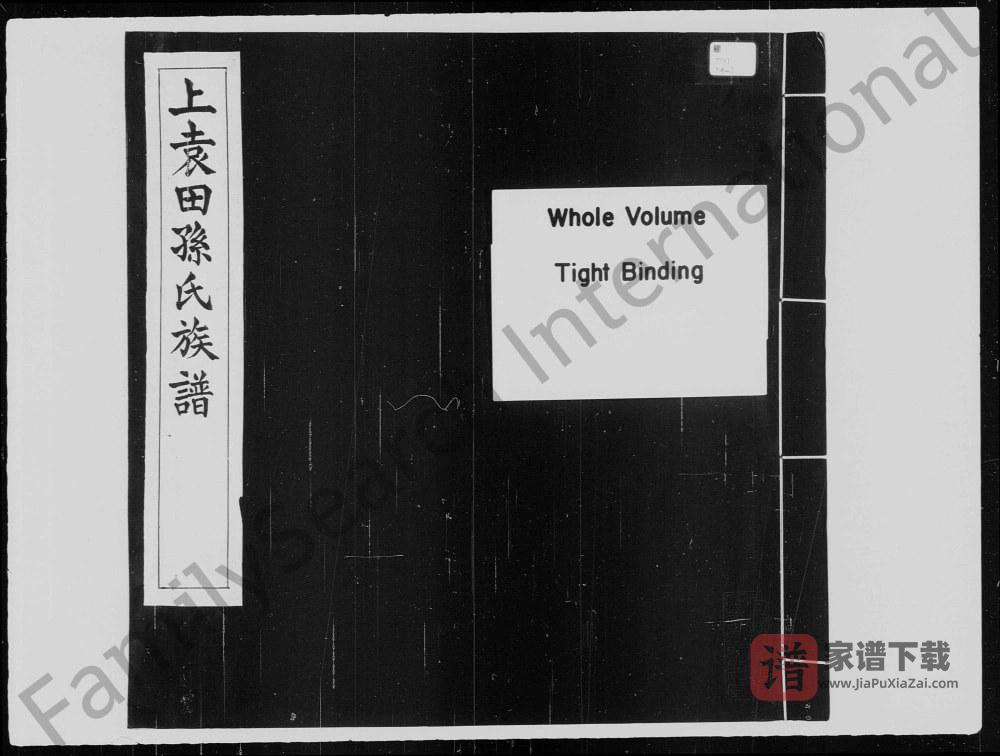 广东河源紫金县上袁田孙氏族谱PDF高清电子版下载