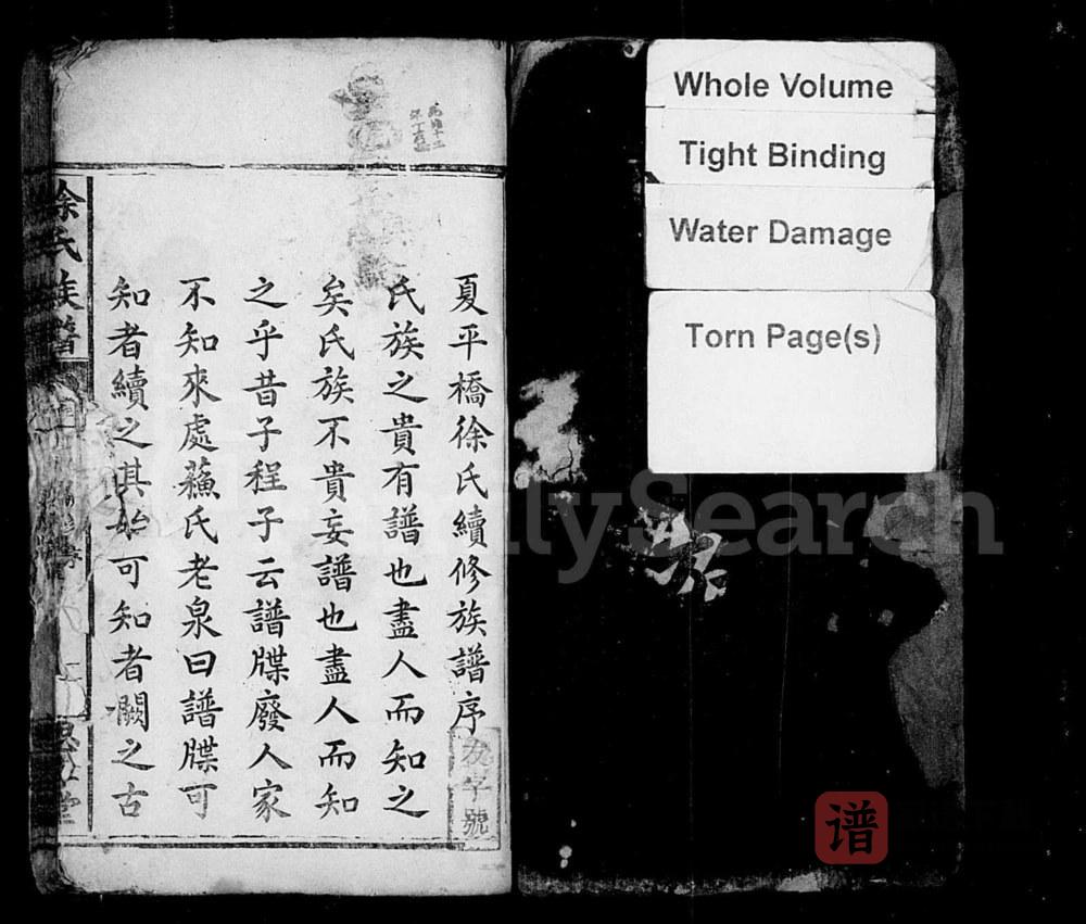 图片[2]-湖南醴陵醴北夏平桥徐氏族谱（思孝堂）PDF高清电子版下载-家谱下载