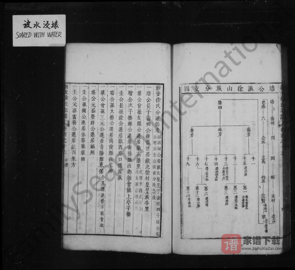图片[2]-安徽黄山歙县歙北皇呈徐氏族谱PDF高清电子版下载-家谱下载