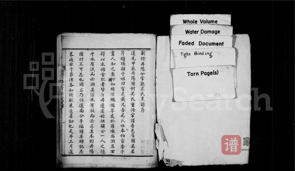 图片[2]-江苏常熟新修丹阳分常熟吴氏支谱PDF高清电子版下载-家谱下载