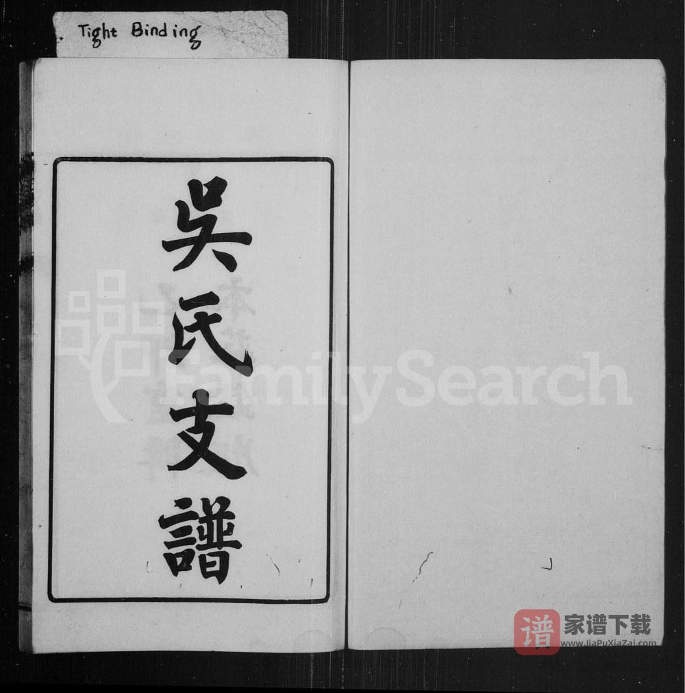 图片[2]-江苏苏州洞泾吴氏支谱PDF高清电子版下载-家谱下载