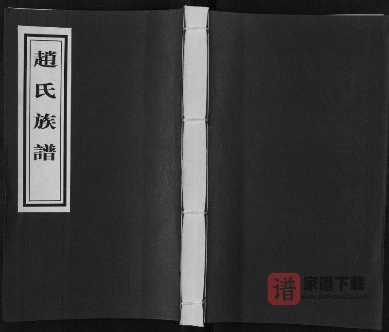 山东临沂河东区石泉庄赵氏族谱PDF高清电子版下载-家谱下载