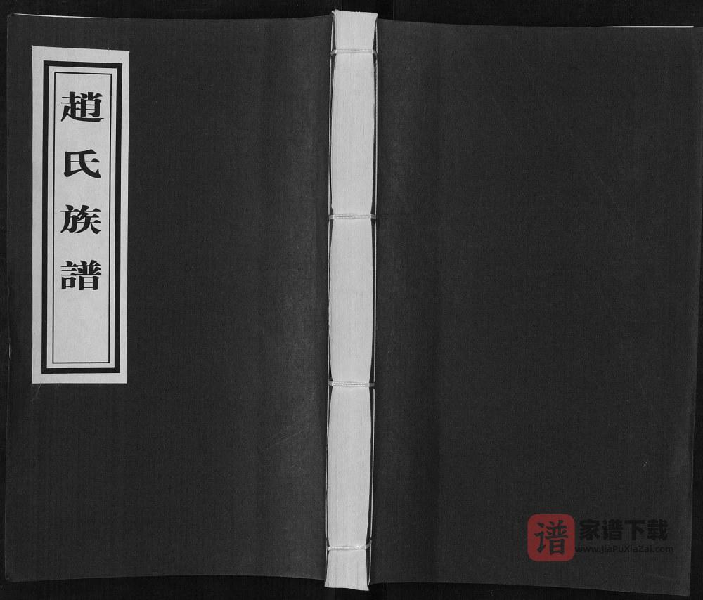 山东临沂河东区石泉庄赵氏族谱PDF高清电子版下载