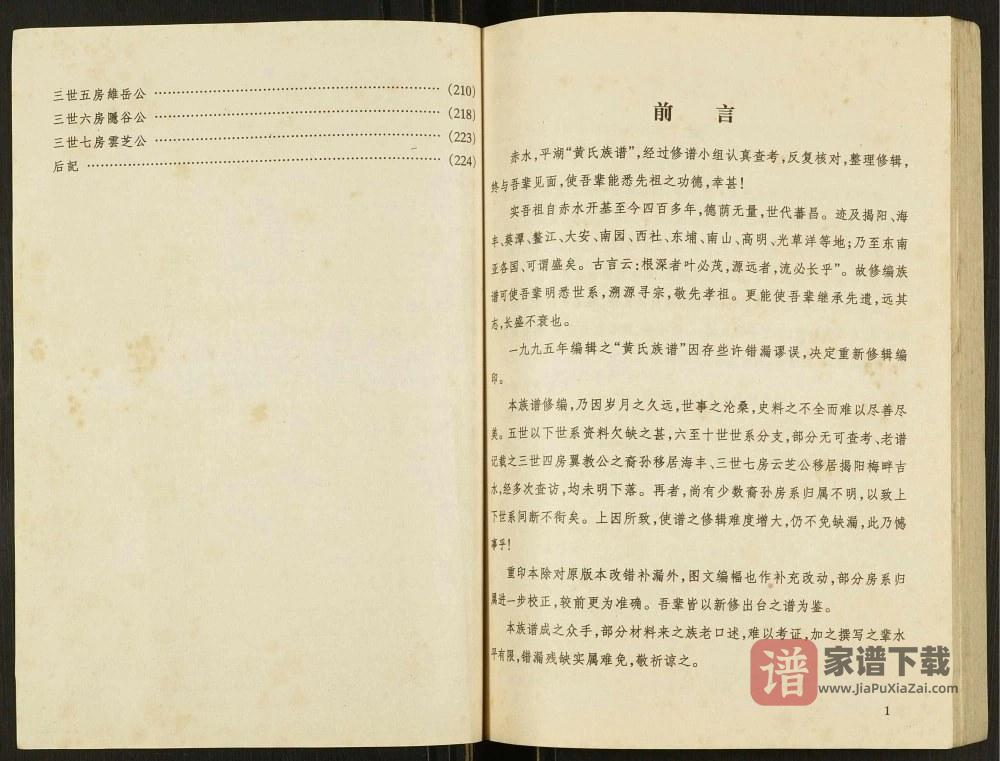 图片[2]-广东普宁赤水平湖乡黄氏族谱PDF高清电子版下载-家谱下载