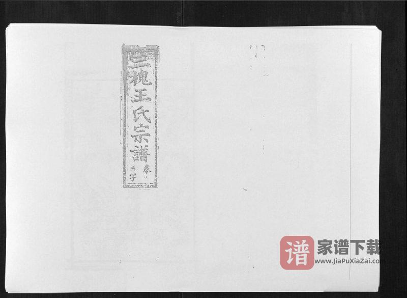 江西上饶广丰区夏社王氏族谱PDF高清电子版下载-家谱下载