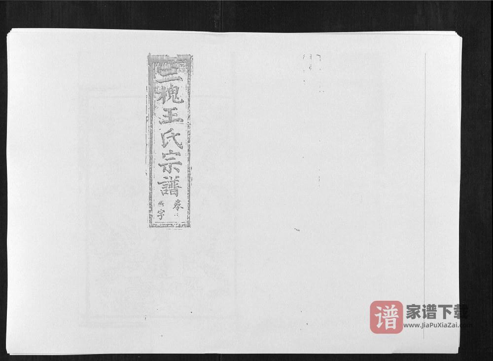 江西上饶广丰区夏社王氏族谱PDF高清电子版下载