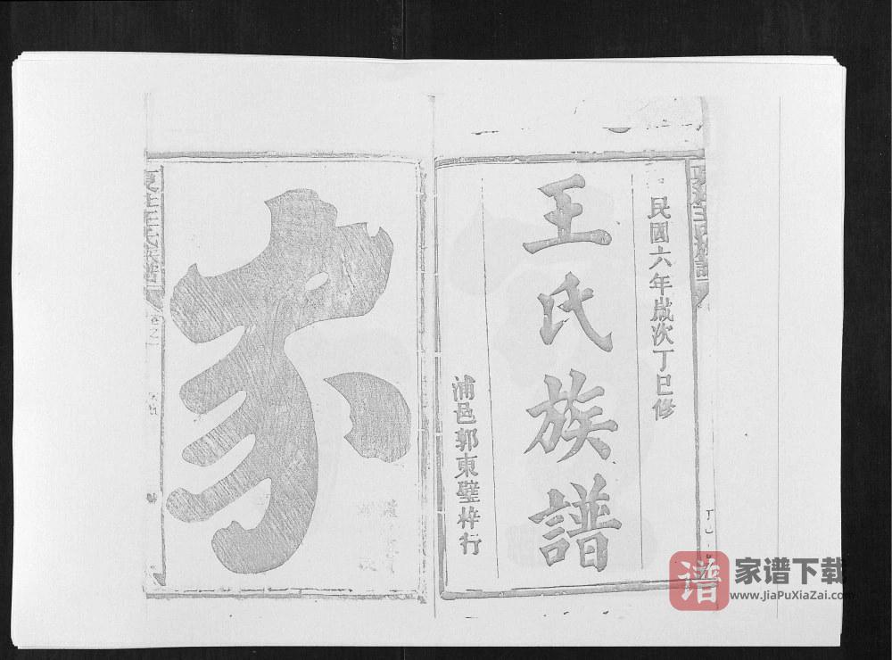 图片[2]-江西上饶广丰区夏社王氏族谱PDF高清电子版下载-家谱下载