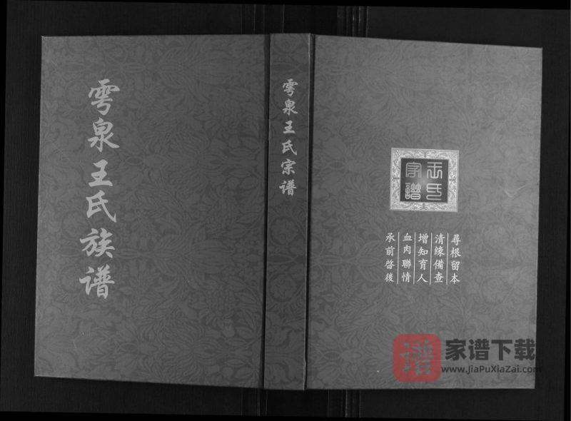 山东诸城雩泉王氏族谱PDF高清电子版下载-家谱下载