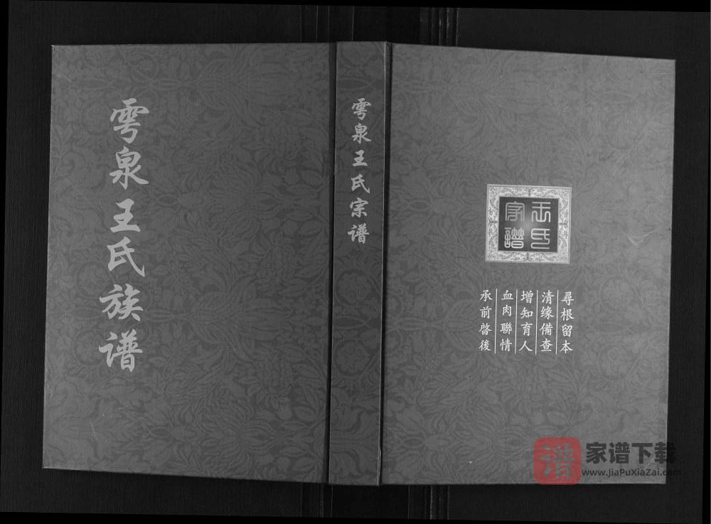 山东诸城雩泉王氏族谱PDF高清电子版下载