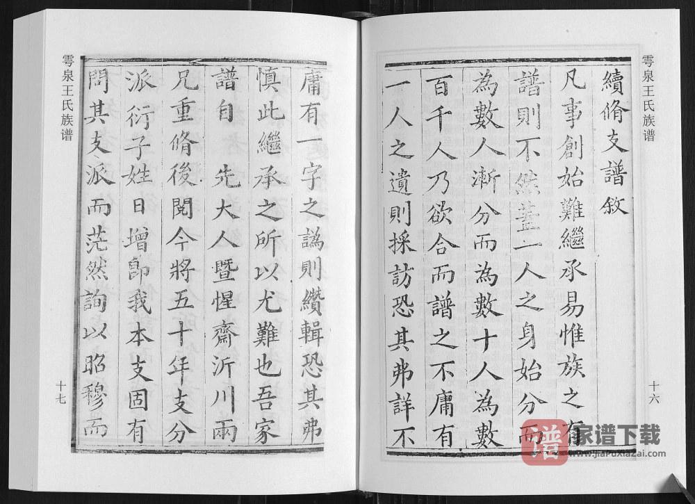 图片[2]-山东诸城雩泉王氏族谱PDF高清电子版下载-家谱下载