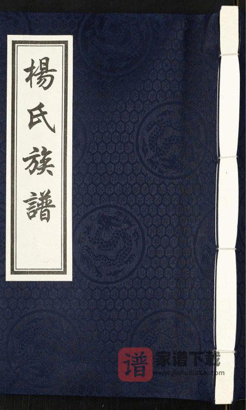 河北泊头扁渡里黄递铺杨桥村杨氏族谱PDF高清电子版下载-家谱下载