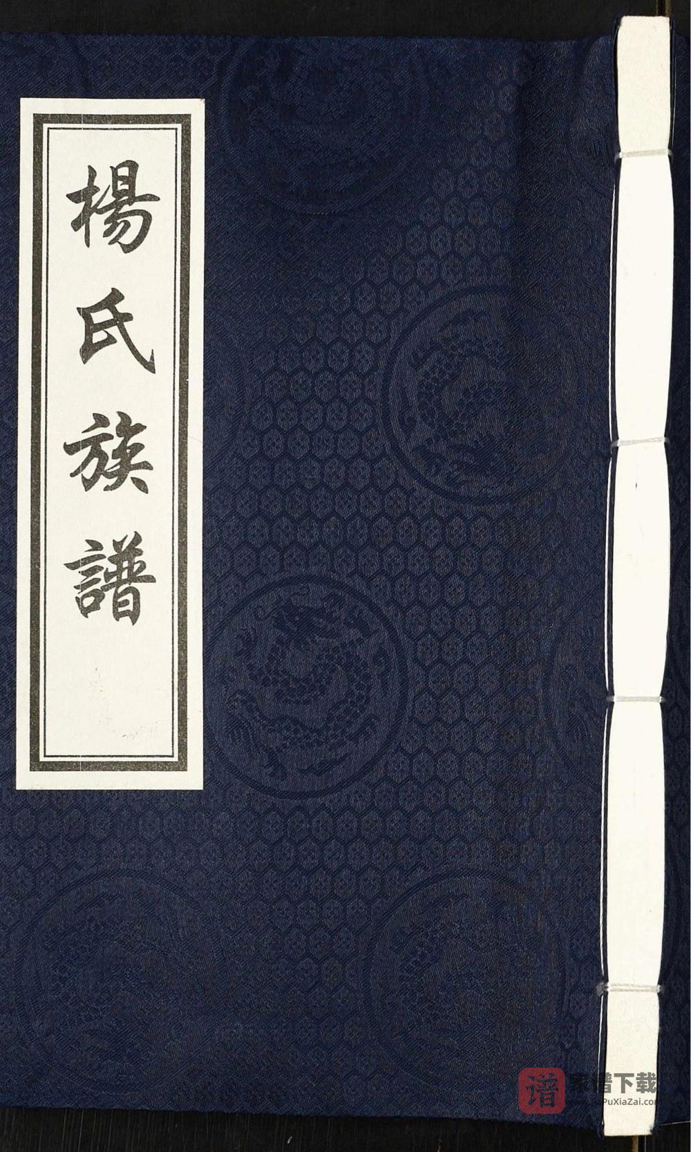 河北泊头扁渡里黄递铺杨桥村杨氏族谱PDF高清电子版下载