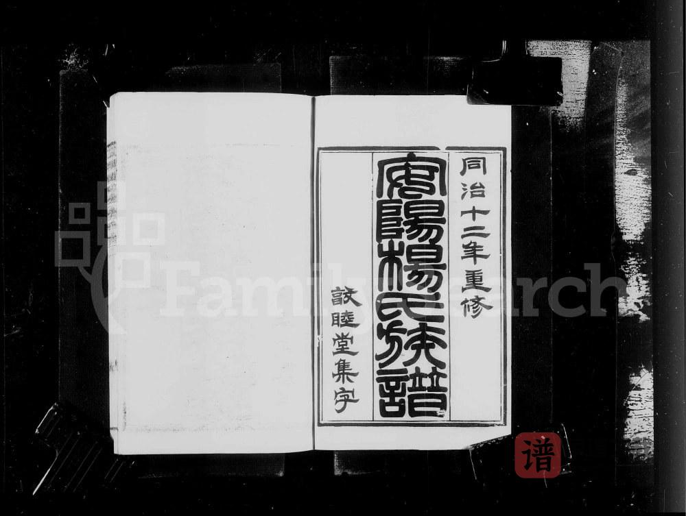 图片[2]-江苏无锡安阳杨氏族谱（敦睦堂）PDF高清电子版下载-家谱下载