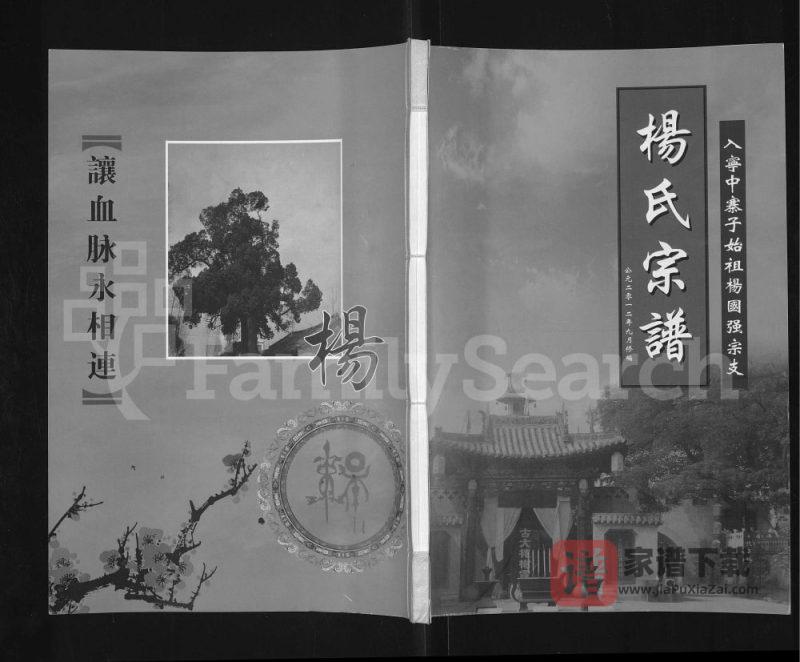 宁夏灵武杨氏宗谱入宁中寨子始祖杨国强宗支PDF高清电子版下载-家谱下载
