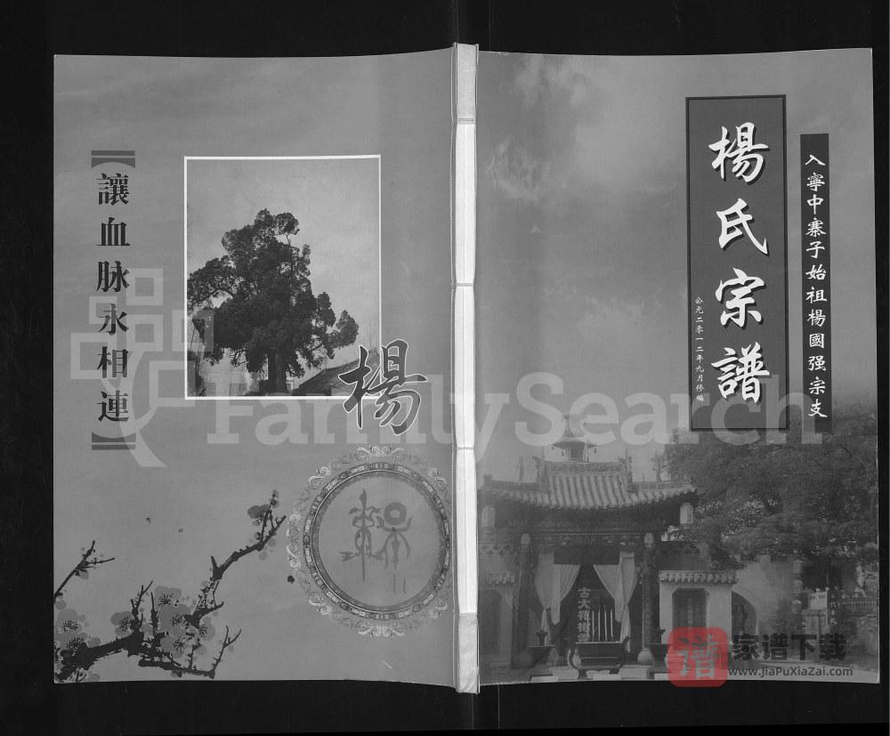 宁夏灵武杨氏宗谱入宁中寨子始祖杨国强宗支PDF高清电子版下载