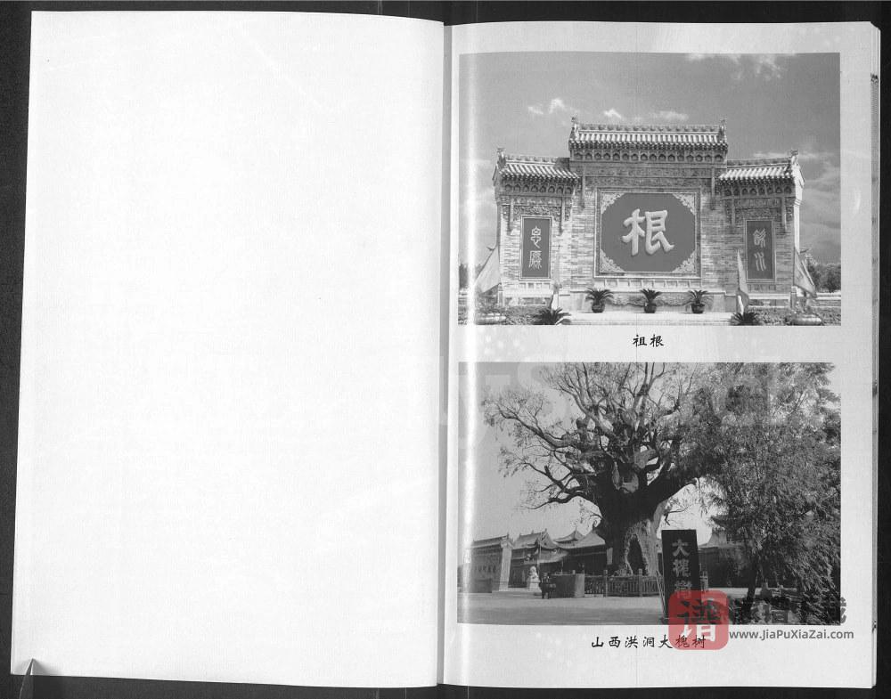 图片[2]-宁夏灵武杨氏宗谱入宁中寨子始祖杨国强宗支PDF高清电子版下载-家谱下载