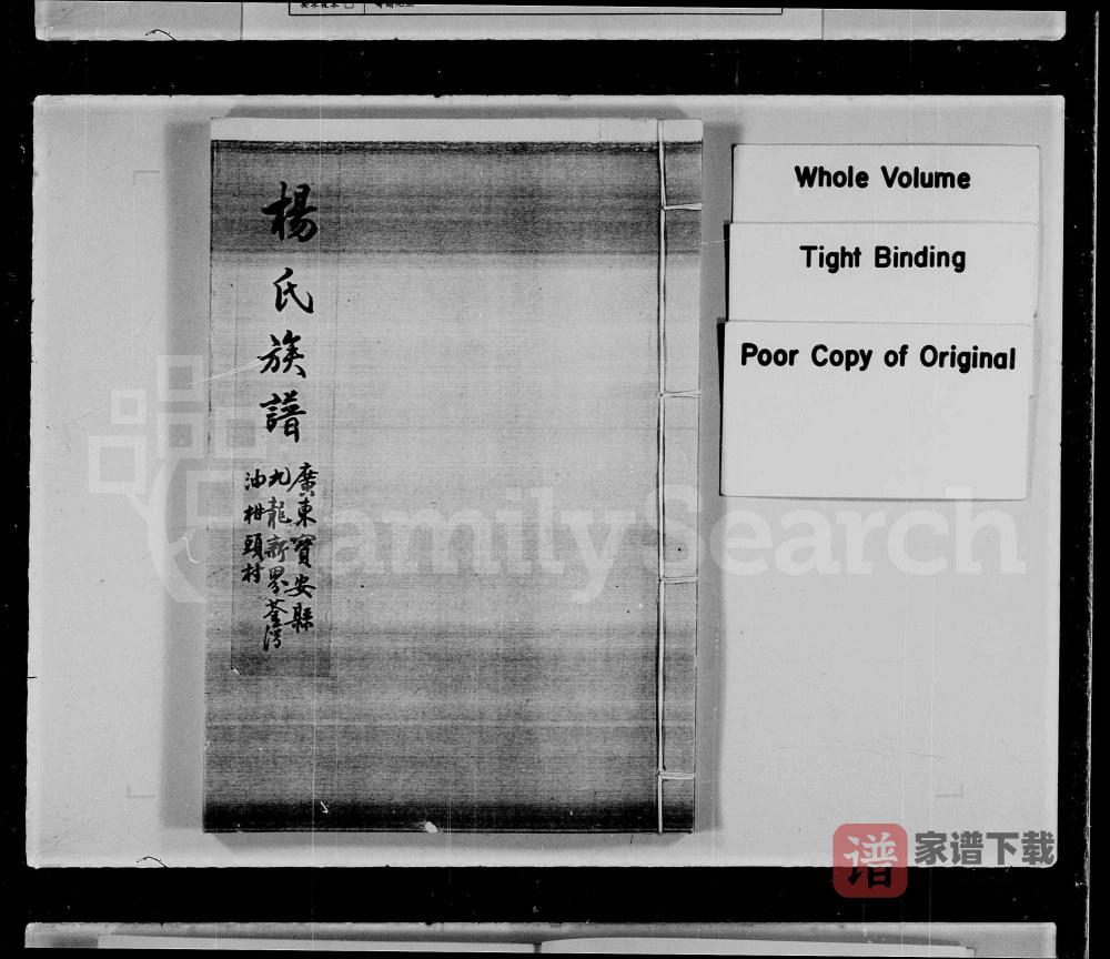 广东深圳宝安杨氏族谱PDF高清电子版下载