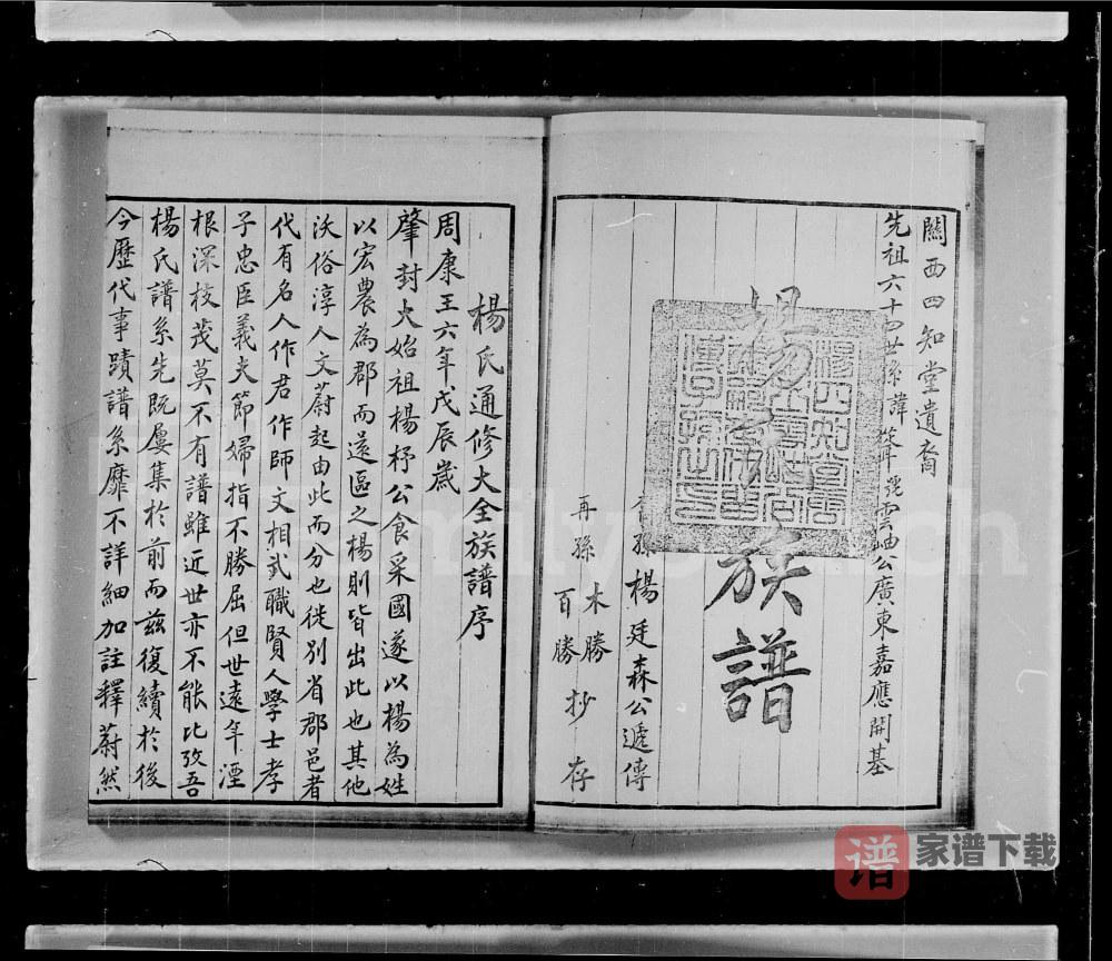 图片[2]-广东深圳宝安杨氏族谱PDF高清电子版下载-家谱下载