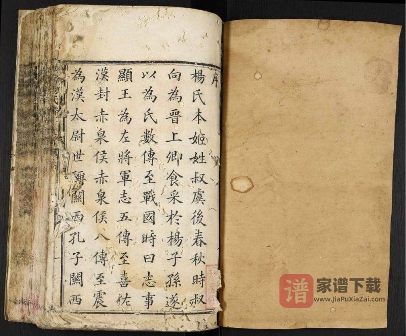江西赣州宁都城南杨氏麟房族谱PDF高清电子版下载-家谱下载