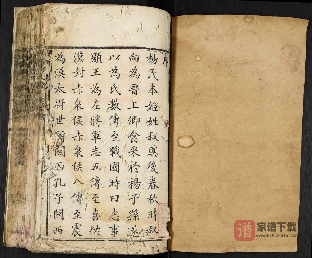江西赣州宁都城南杨氏麟房族谱PDF高清电子版下载