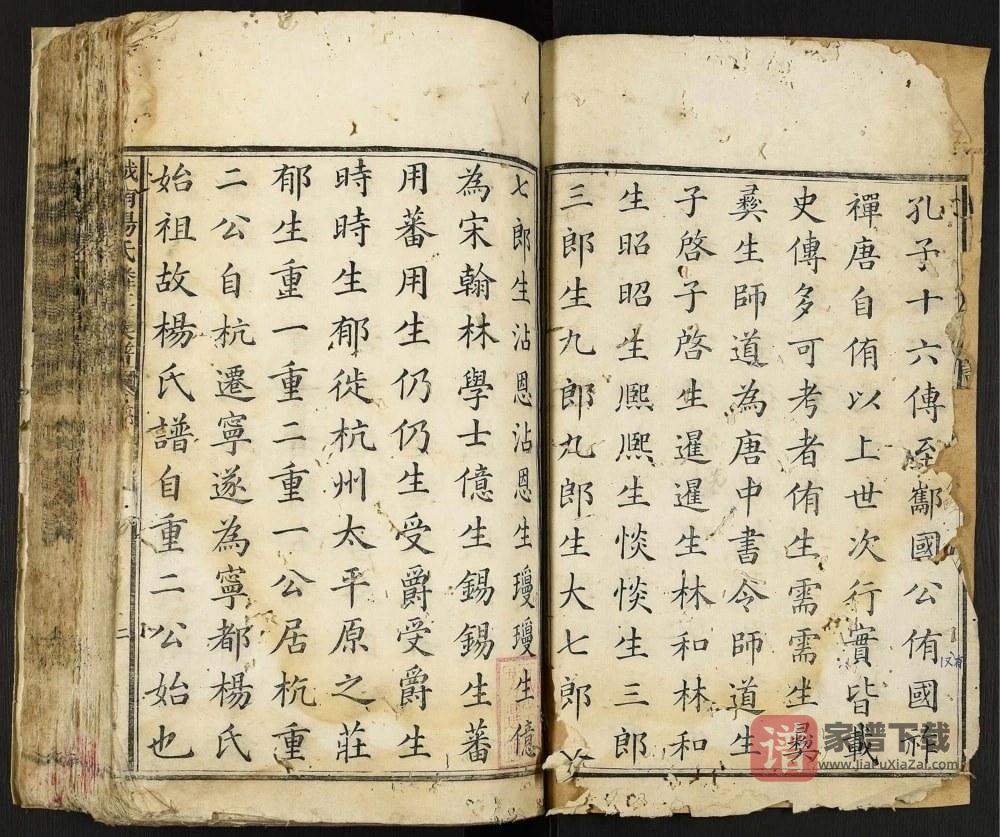 图片[2]-江西赣州宁都城南杨氏麟房族谱PDF高清电子版下载-家谱下载