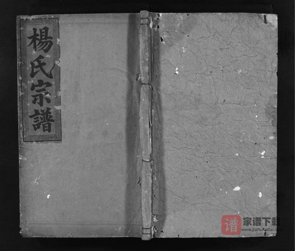 湖北黄石阳新杨氏宗谱PDF高清电子版下载