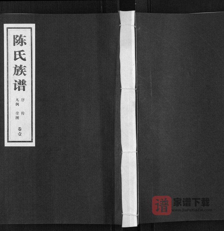 山东临沂沂南县陈氏族谱PDF高清电子版下载-家谱下载
