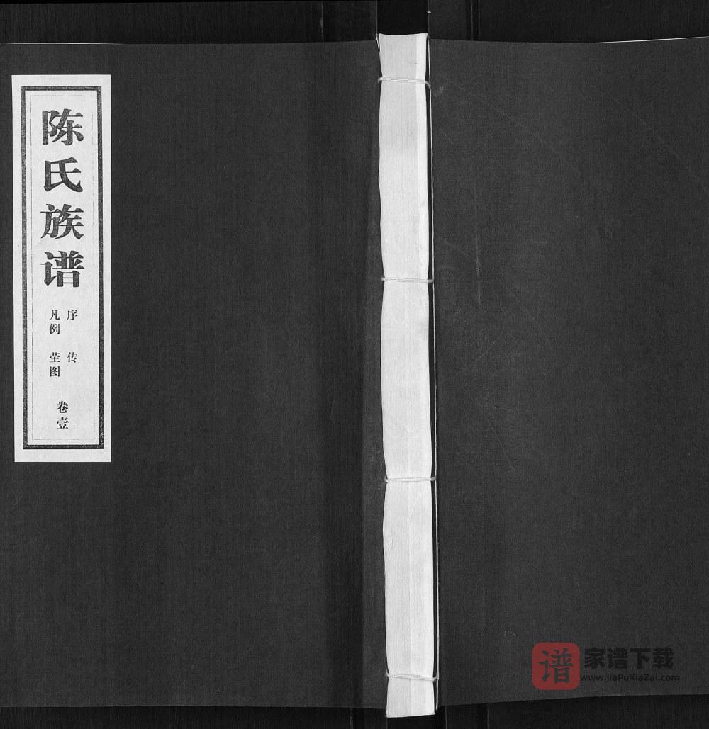 山东临沂沂南县陈氏族谱PDF高清电子版下载