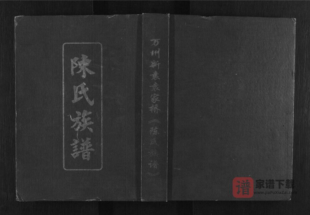 重庆万州新袁袁家桥陈氏族谱PDF高清电子版下载
