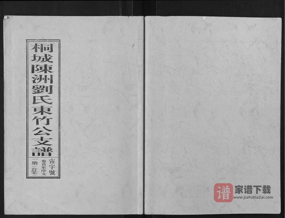 安徽桐城陈洲刘氏东竹公支谱PDF高清电子版下载