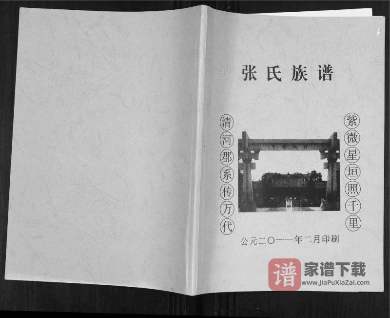 海南陵水张氏陵邑英州村和大坡村支谱PDF高清电子版下载-家谱下载