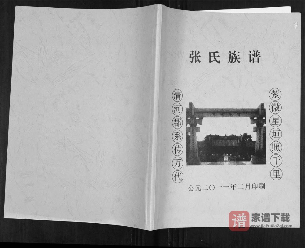海南陵水张氏陵邑英州村和大坡村支谱PDF高清电子版下载
